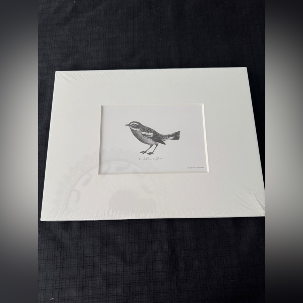Elegant Black and White Bird Art Print